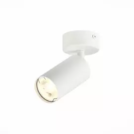 Потолочный светильник накладной поворотный ST-Luce Dario ST303.502.01
