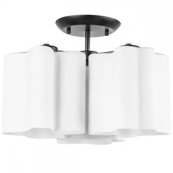 Потолочный светильник Nubi Lightstar 802037