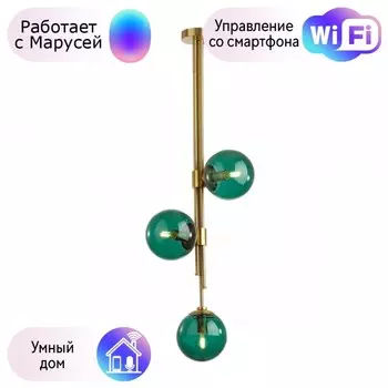 Потолочный светильник Odeon Light Brazeri с поддержкой Маруся 4800/3-М