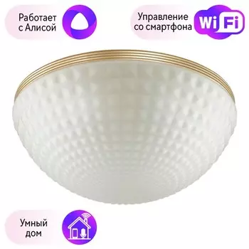 Потолочный светильник Odeon Light Malaga с поддержкой Алиса 4936/4C-A