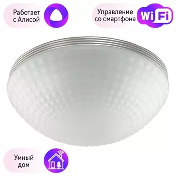 Потолочный светильник Odeon Light Malaga с поддержкой Алиса 4937/3C-A