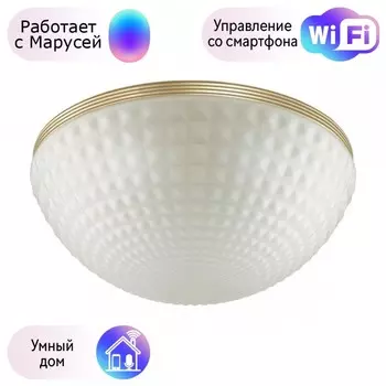 Потолочный светильник Odeon Light Malaga с поддержкой Маруся 4936/4C-М