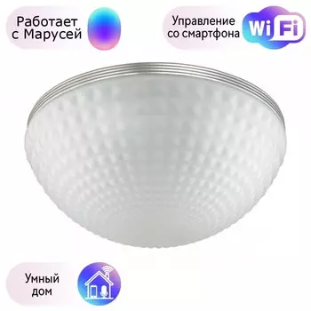 Потолочный светильник Odeon Light Malaga с поддержкой Маруся 4937/4C-М