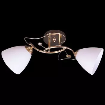 Потолочный светильник Reluce 00996 1421071