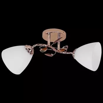 Потолочный светильник Reluce 00997 1421061