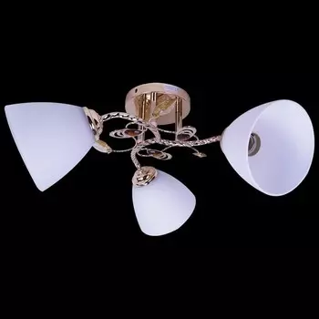 Потолочный светильник Reluce 00997 1421062