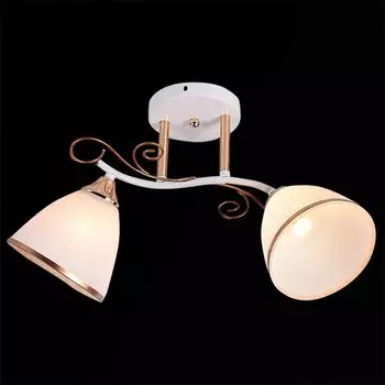 Потолочный светильник Reluce 01017 1409080