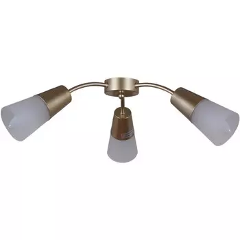 Потолочный светильник Reluce 01266 1423248