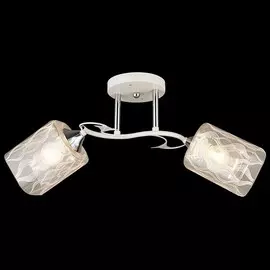 Потолочный светильник Reluce 04079 1420635