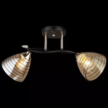 Потолочный светильник Reluce 04086 1420648