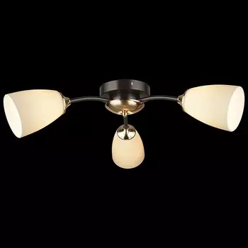 Потолочный светильник Reluce 04155 1420711