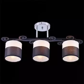 Потолочный светильник Reluce 05019 1411546