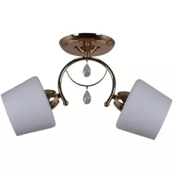 Потолочный светильник Reluce 12193 1420886