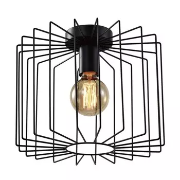 Потолочный светильник Rivoli Eva 5093-201 (Б0053052)