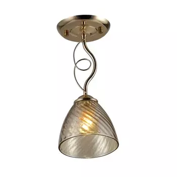 Потолочный светильник Rivoli Leni 9125-201 (Б0053415)