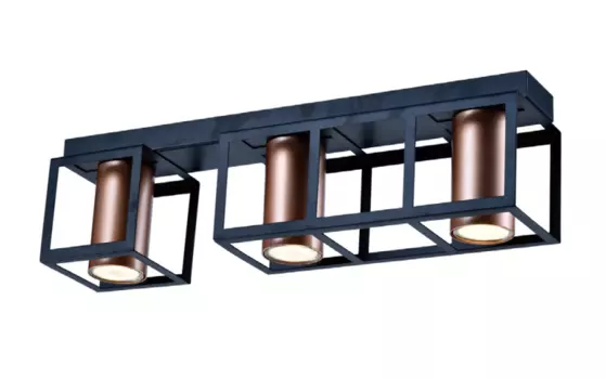 Потолочный светильник Rivoli Raffaela 5082-303 (Б0051234)