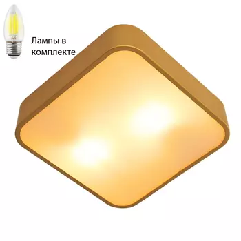 Потолочный светильник с лампочками Arte lamp A7210PL-2GO+Lamps