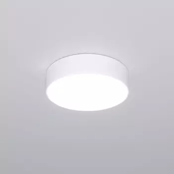 Потолочный светильник с пультом ДУ 90318/1 белый Eurosvet (a063076)