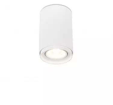 Потолочный светильник SIMPLE STORY 2065-1CLW