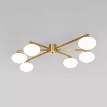 Потолочный светильник со стеклянными плафонами Eurosvet Opaline 70220/6 (a065766)