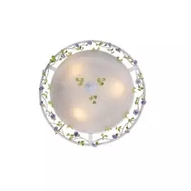 Потолочный светильник ST Luce Fiori SL695.502.03