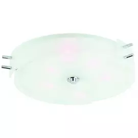 Потолочный светильник ST Luce Hegia SL484.502.06