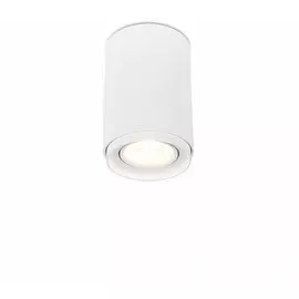 Потолочный светильник Syneil 2065-1CLW