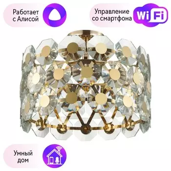 Потолочный светильник Tokata Odeon Light с поддержкой Алиса 4974/5C-A