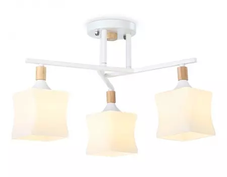 Потолочный светильник Traditional Ambrella light TR9488