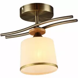 Потолочный светильник Wink N1568/1