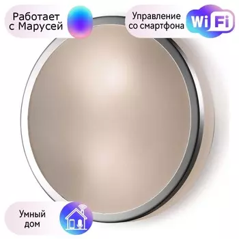 Потолочный светильник Yun Odeon Light с поддержкой Маруся 2177/3C-М