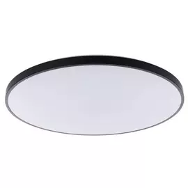 Потолочный светодиодный cветильник Nowodvorski Agnes 9163