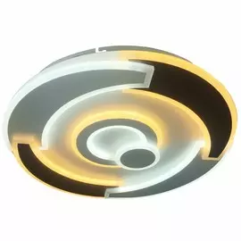 Потолочный светодиодный диммируемый светильник с пультом д/у Wink 2553/D50