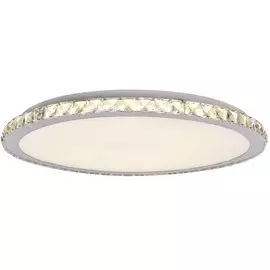 Потолочный светодиодный диммируемый светильник с пультом д/у Wink X181/300