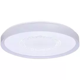 Потолочный светодиодный диммируемый светильник с пультом д/у Wink X210/400