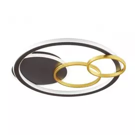 Потолочный светодиодный диммируемый светильник с пультом ДУ Lumion Breno 5245/68CL