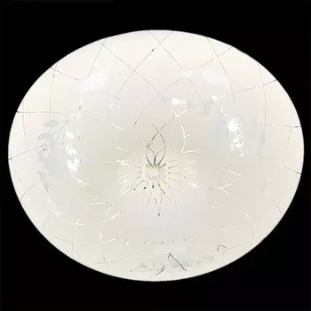 Потолочный светодиодный диммируемый светильник с пультом ДУ Reluce 03651 1413364