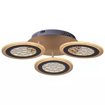 Потолочный светодиодный диммируемый светильник с пультом ДУ Reluce 20491 1422896