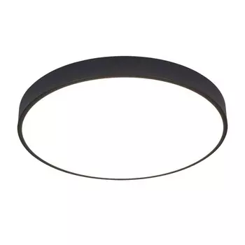 Потолочный светодиодный светильник Arte Lamp ARENA A2686PL-35BK