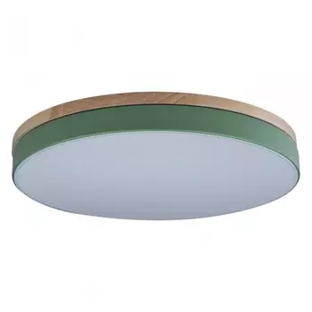 Потолочный светодиодный светильник Axel Loft It 10001/36 Green