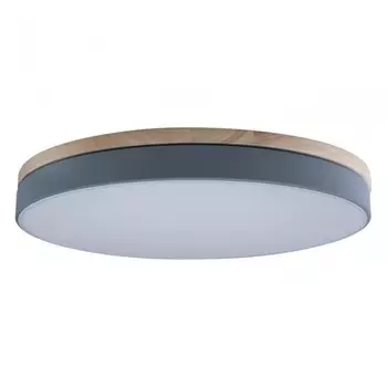 Потолочный светодиодный светильник Axel Loft It 10001/36 Grey