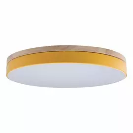 Потолочный светодиодный светильник Axel Loft It 10001/36 Yellow