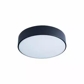 Потолочный светодиодный светильник Axel Loft It 10002/12 Black