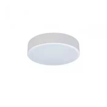 Потолочный светодиодный светильник Axel Loft It 10002/12 White