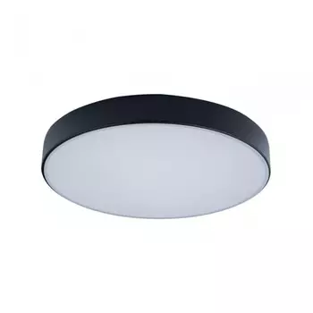 Потолочный светодиодный светильник Axel Loft It 10002/24 Black