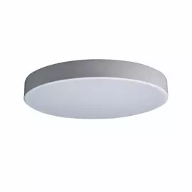 Потолочный светодиодный светильник Axel Loft It 10002/24 White