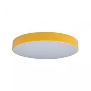 Потолочный светодиодный светильник Axel Loft It 10002/24 Yellow