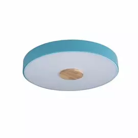 Потолочный светодиодный светильник Axel Loft It 10003/24 Blue