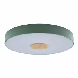 Потолочный светодиодный светильник Axel Loft It 10003/24 Green