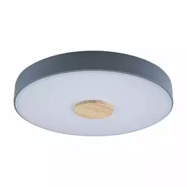 Потолочный светодиодный светильник Axel Loft It 10003/24 Grey